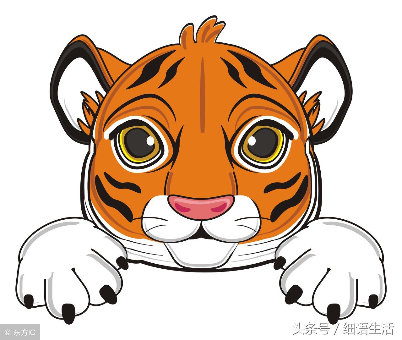 12生肖配对真的会影响婚姻幸福吗？