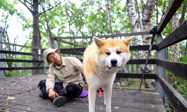 狗狗为什么总爱吃自己的便便？