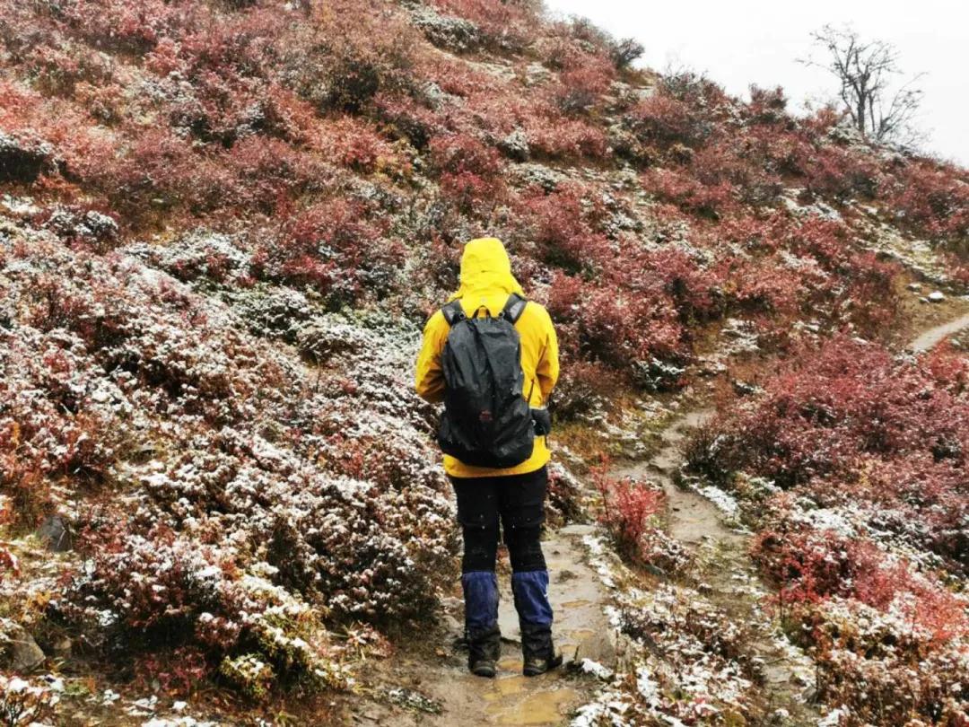 为什么你的 雪 字总像狗啃的？