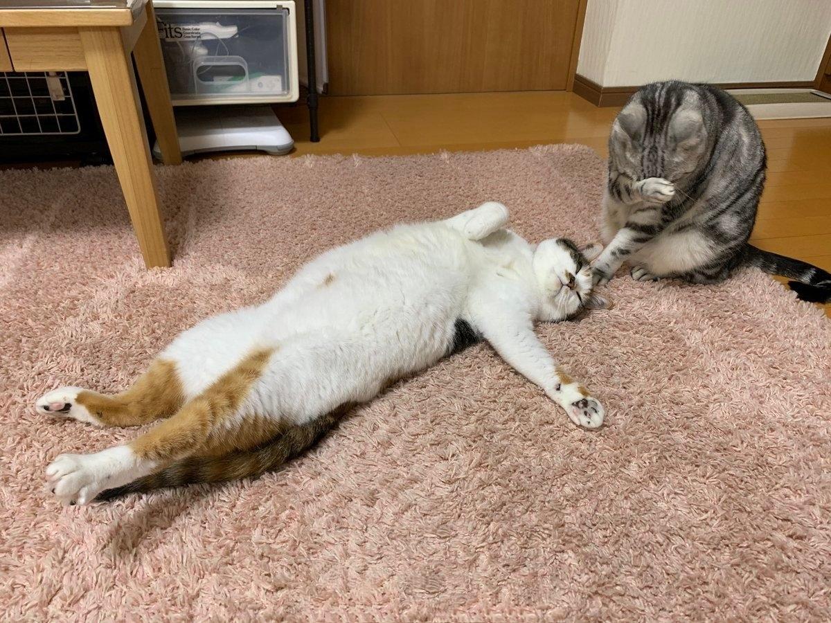 旺铺助手真的能让店铺业绩翻倍吗？