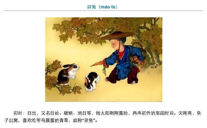 十二生肖为啥偏偏是这十二种动物？