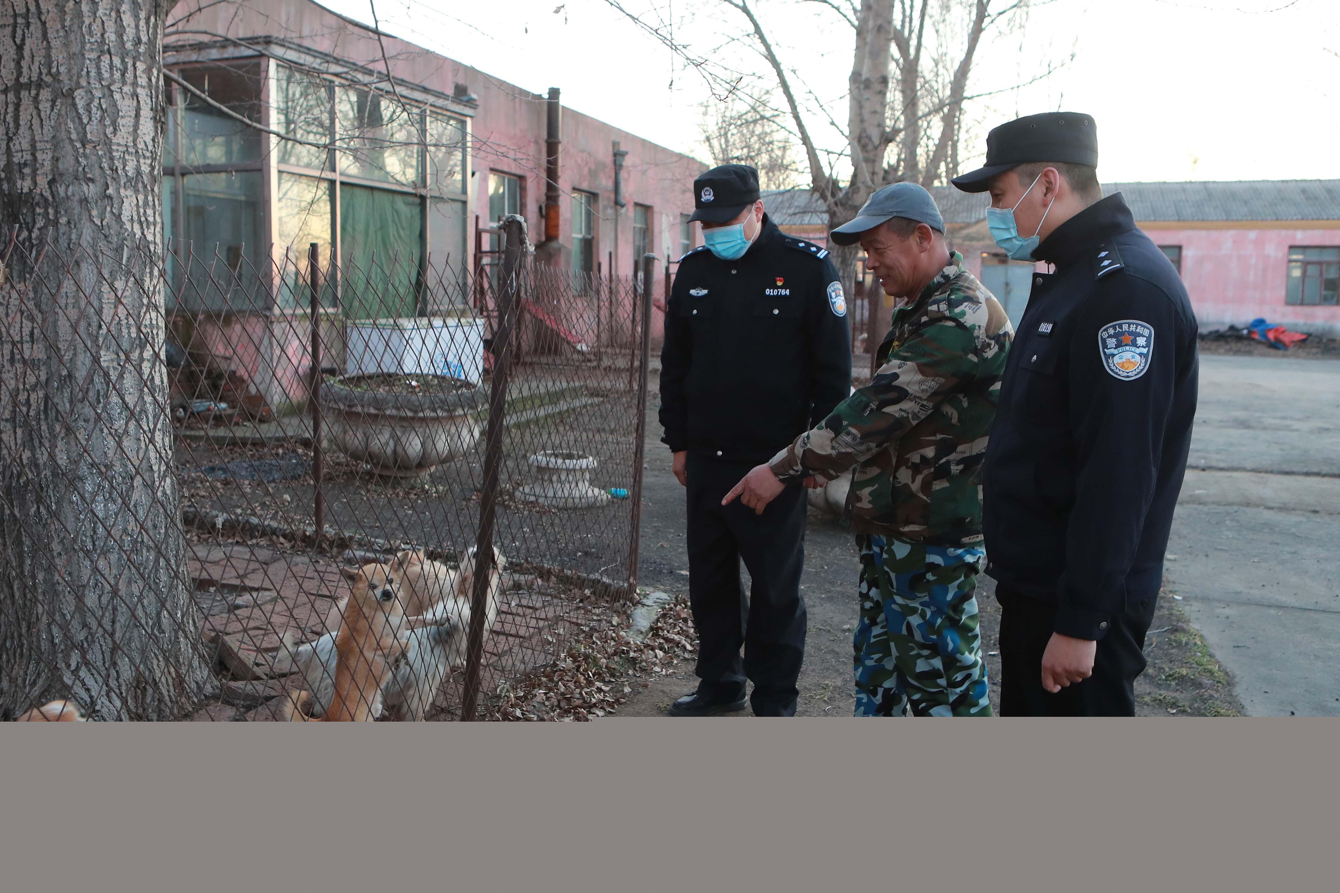 纽波利顿獒犬真的适合新手养吗？