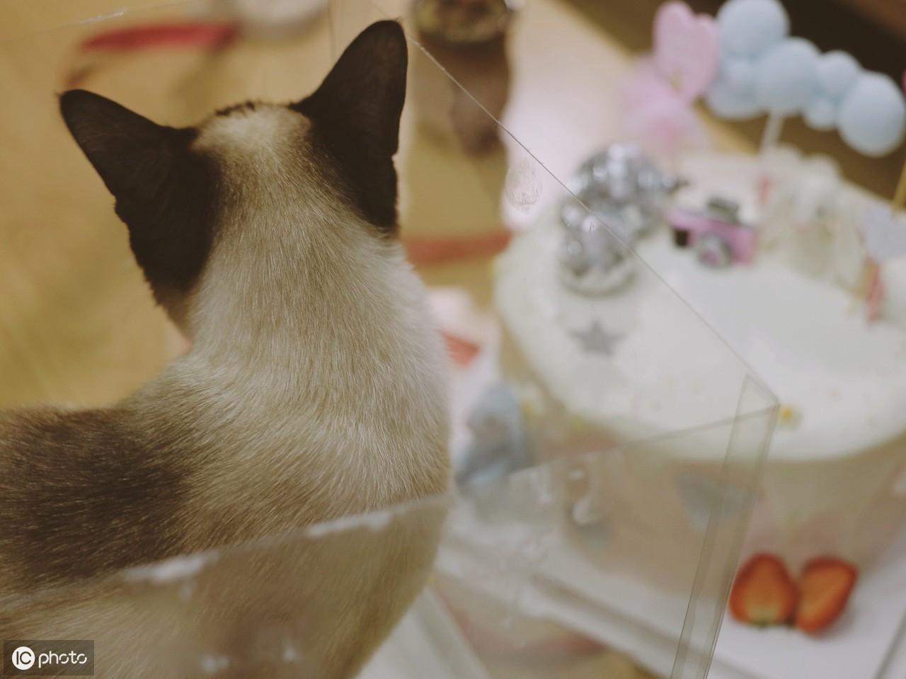 致欧科技：在中国品牌出海之路上精耕细作