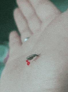 新手做淘宝代理真的能月入过万吗？