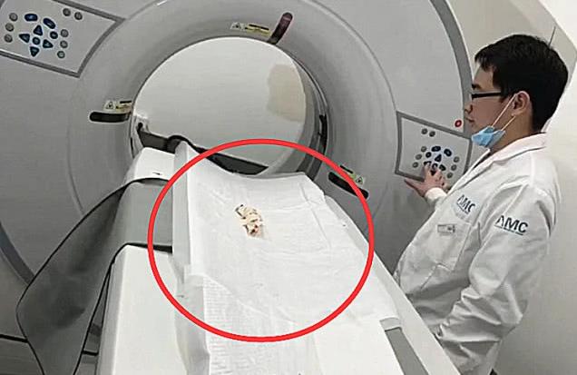 虎皮鹦鹉突然拉稀该不该慌？