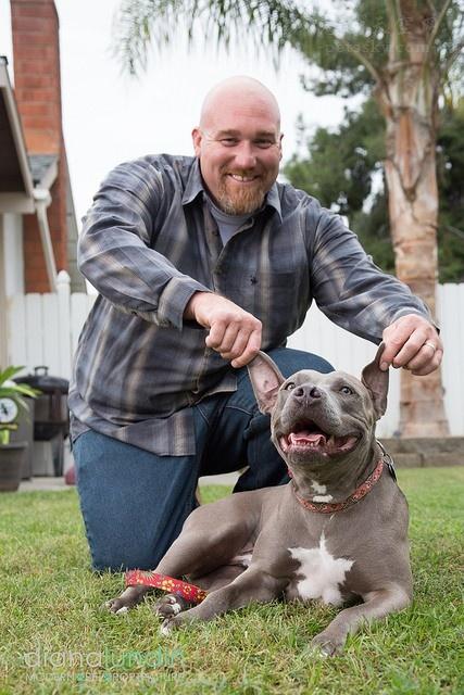 蜱虫真能把狗咬死吗？