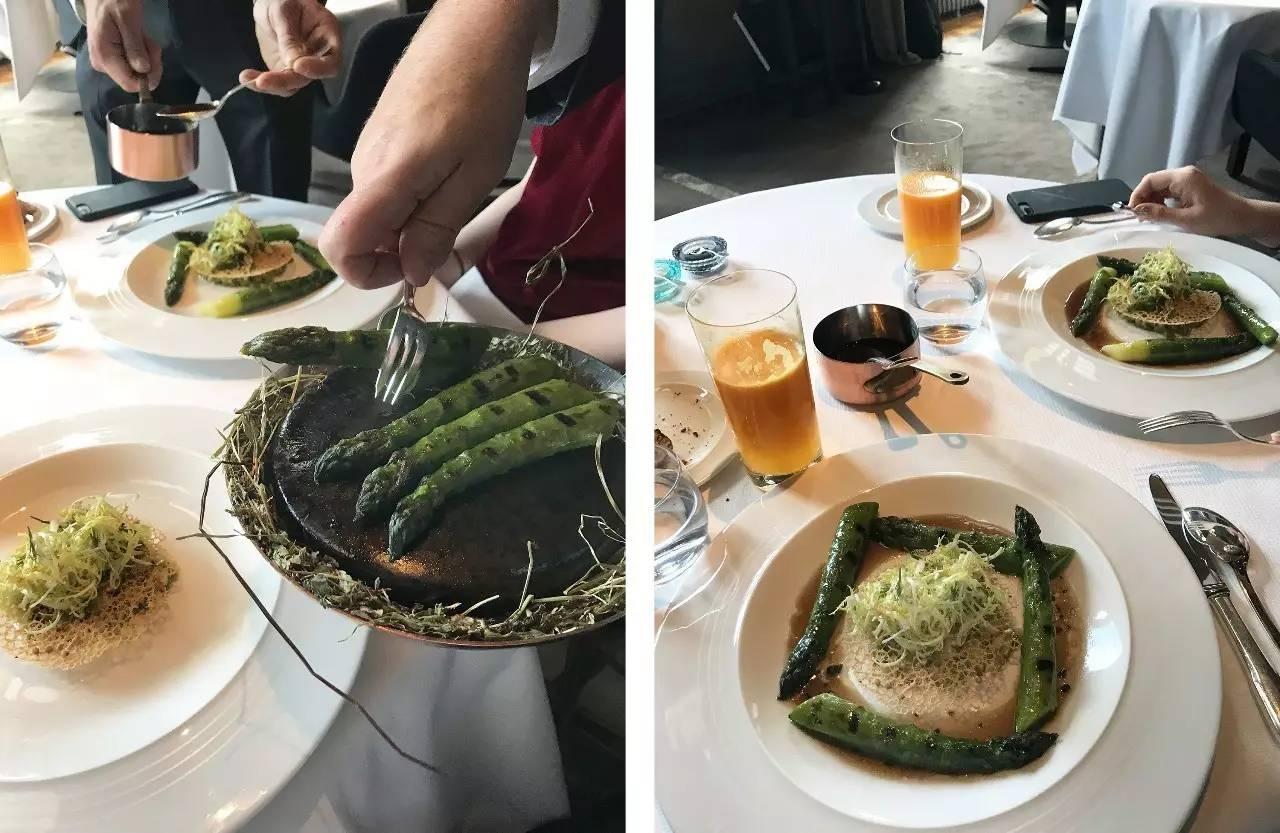 哈士奇到底多少钱一只?新手买狗必看的价格避坑指南 哈士奇到底多少钱一只?新手买狗必看的价格避坑指南