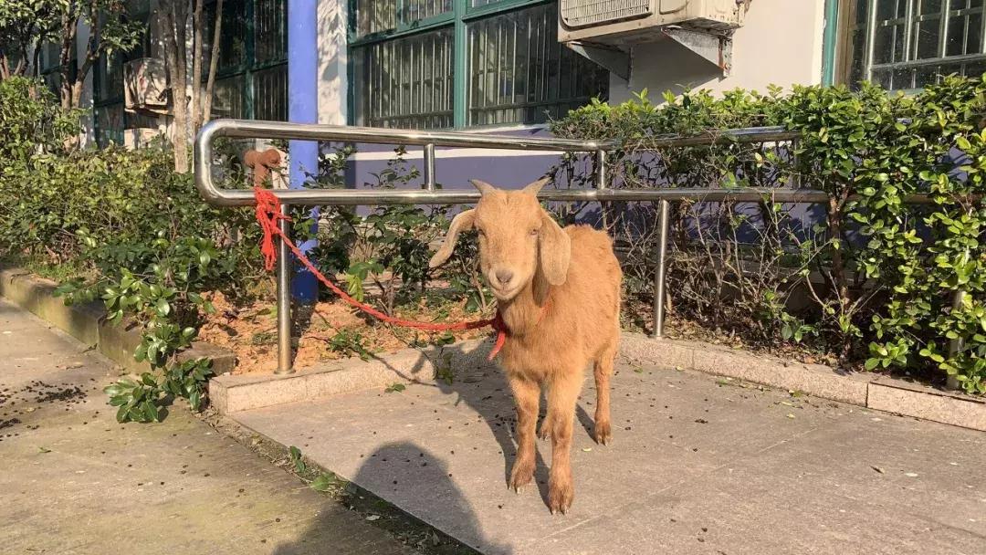 淘宝账号信誉等级查看与提升技巧，快速提高信誉等级的方法