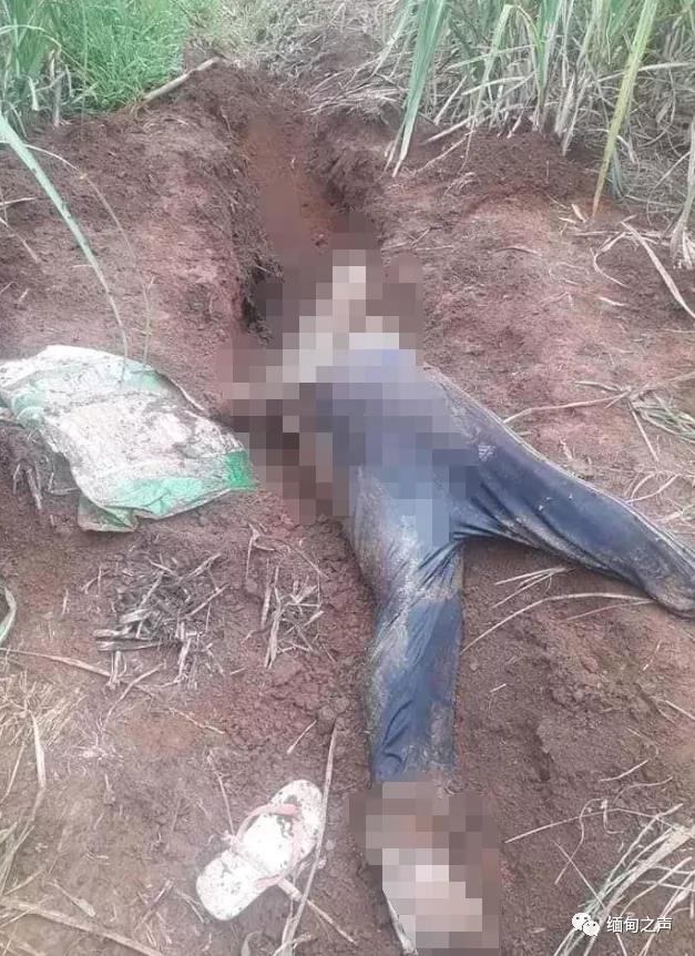 Amazon美国站好不好？想开店的话如何做？全解析