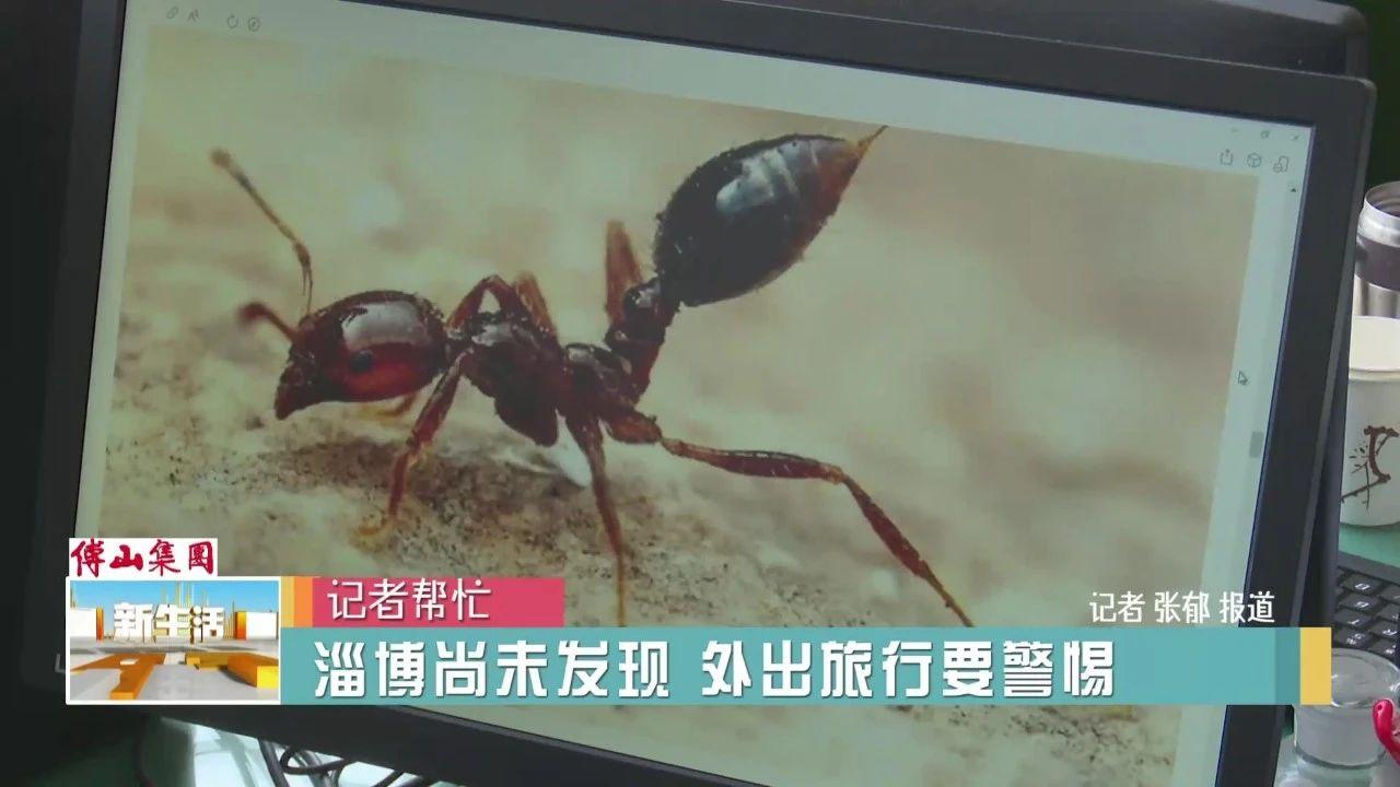 家里发现红蚂蚁能彻底消灭吗？