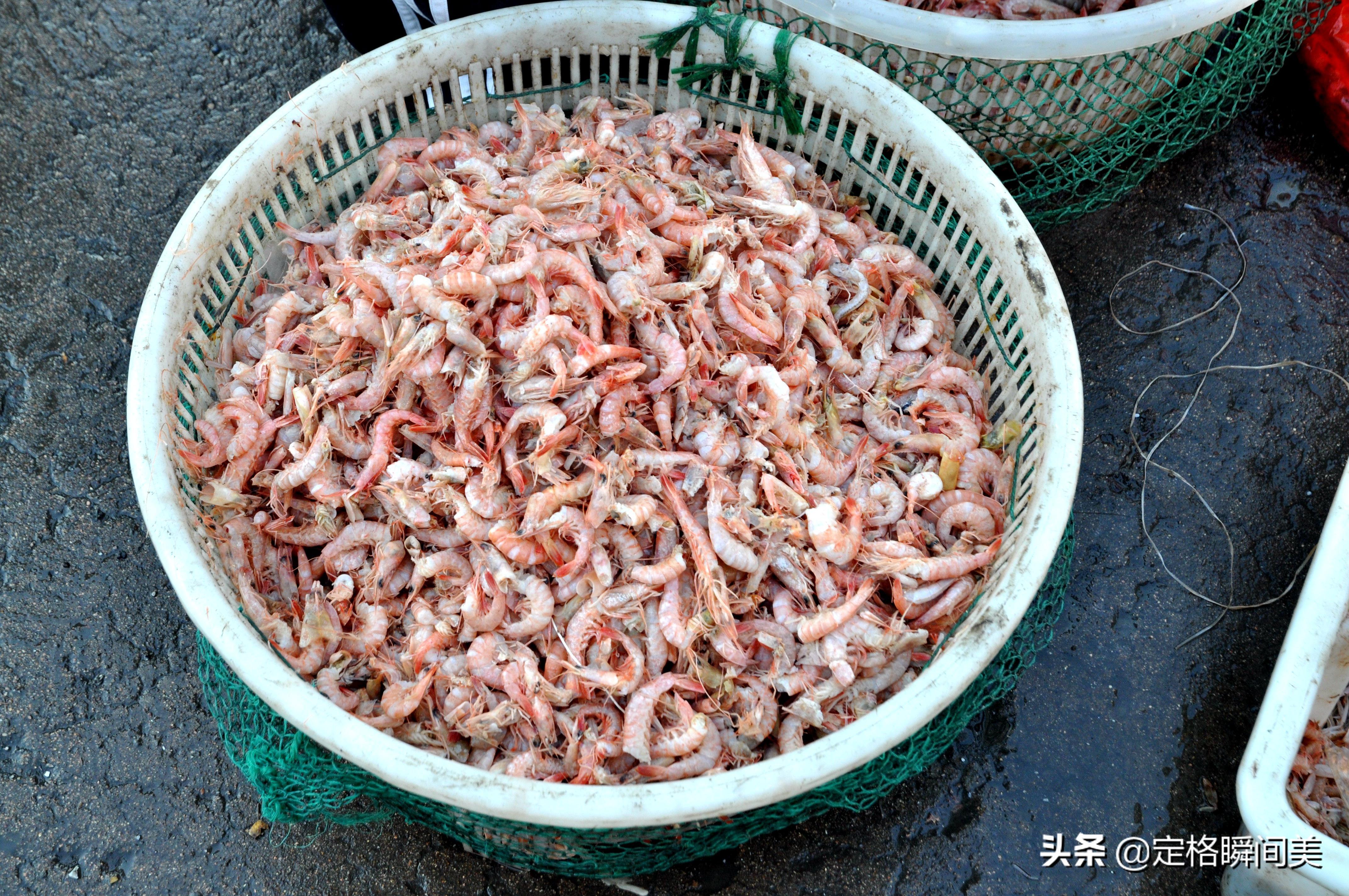 属马人结婚配哪些属相最合适？超全解读在这里