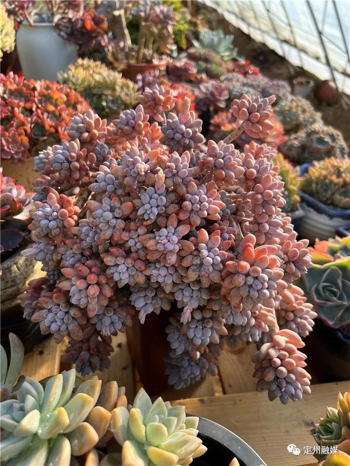 如何关闭手机淘宝的淘友圈？详细步骤与位置指南