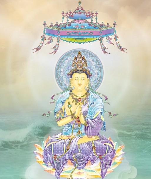 属羊的人今年到底多少岁？