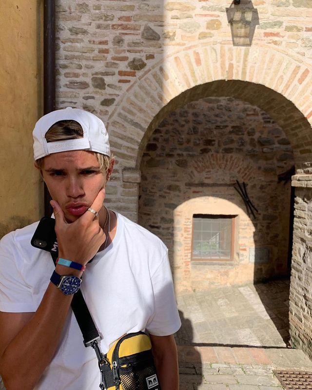 波奇宠物生活全方位关爱指南，打造宠物健康快乐生活