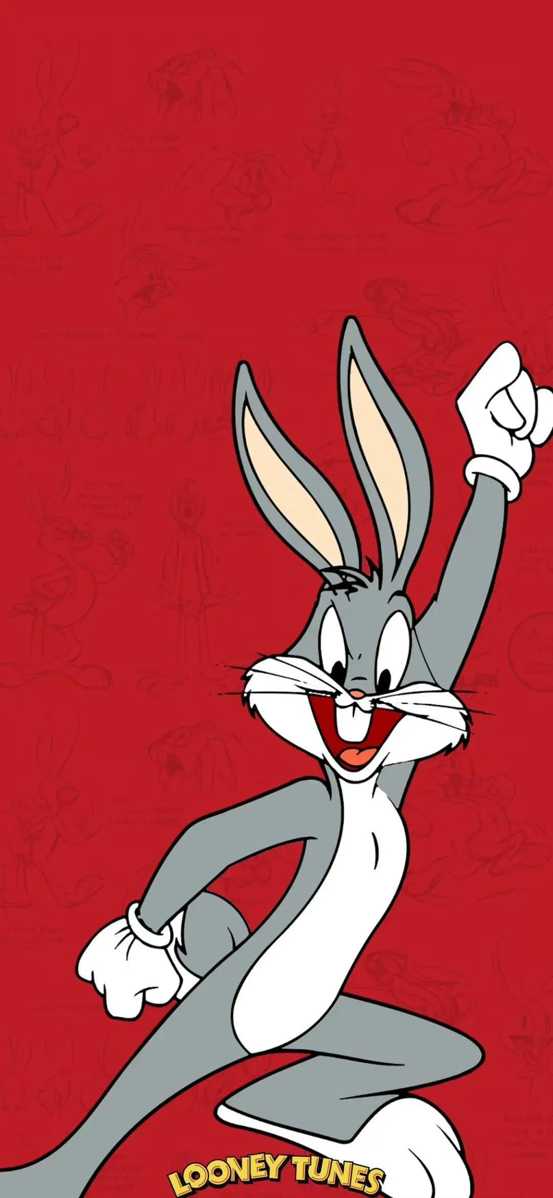 八哥鸟到底要多少钱才能带回家？