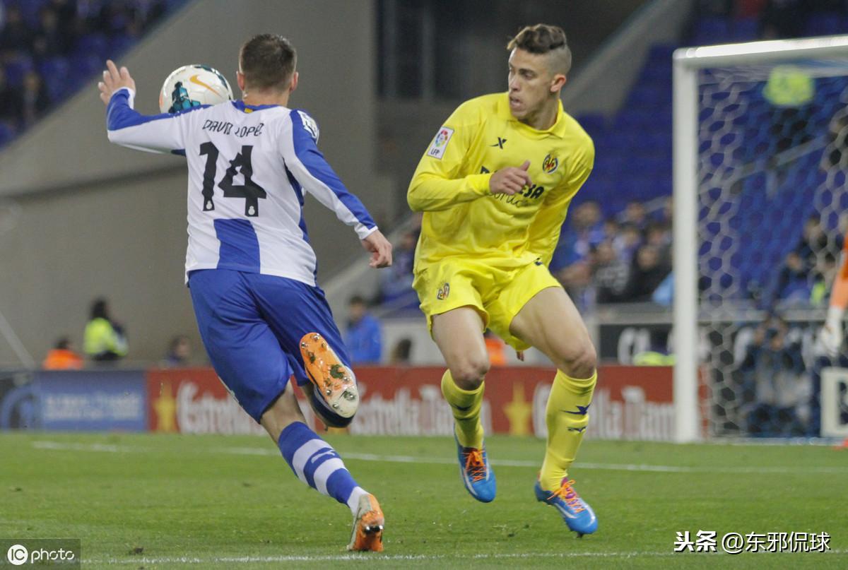 丽纹攀蜥品种详解：全面介绍丽纹攀蜥的种类与特征