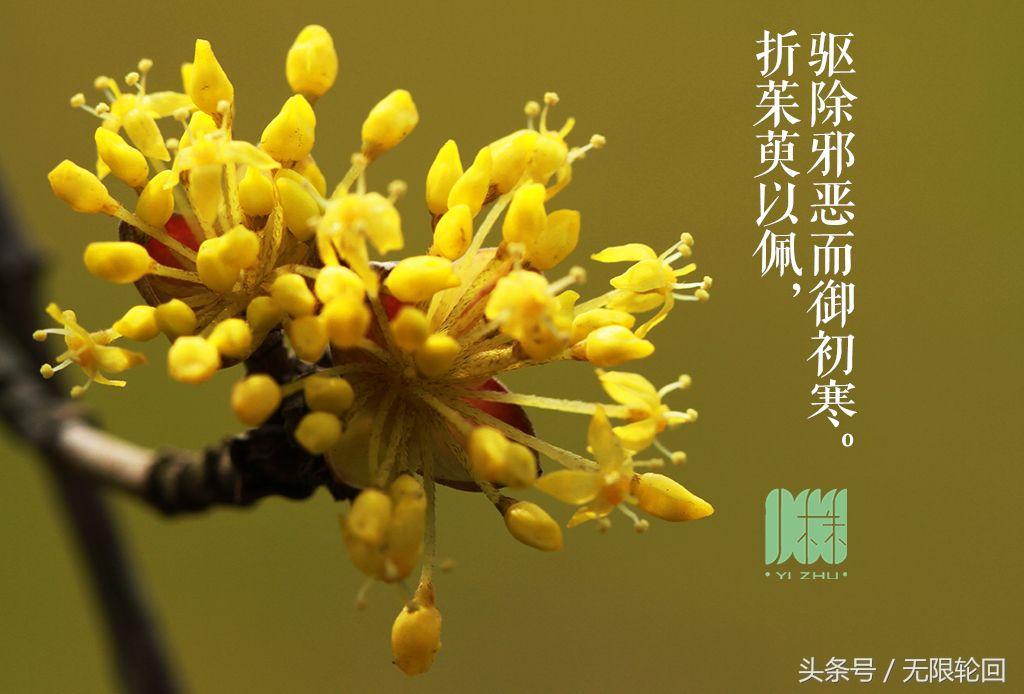 静夜服到底是个什么神奇操作？