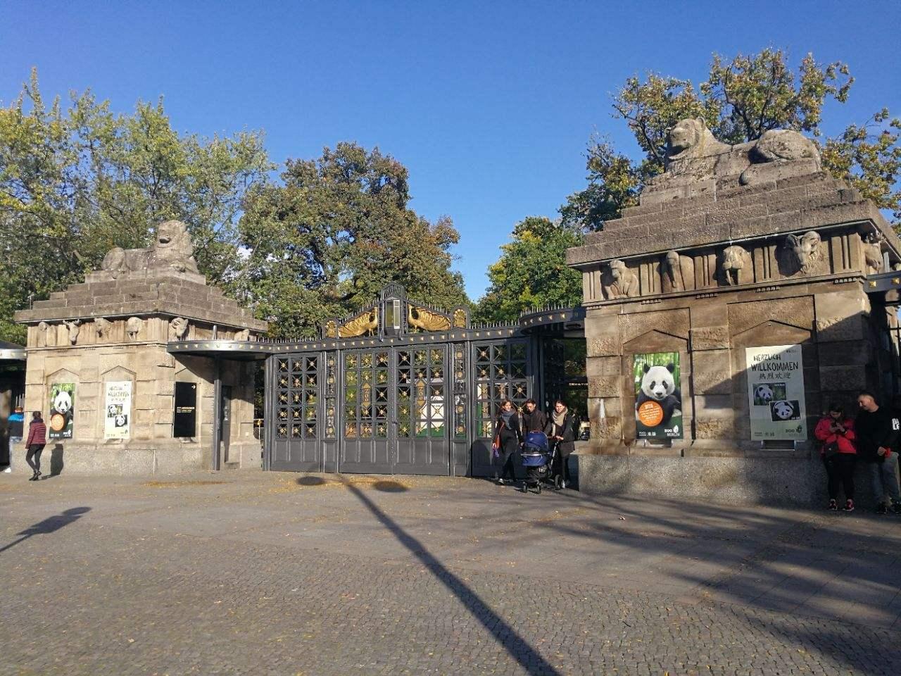 小北极熊克努特为什么能让全球网友集体破防？