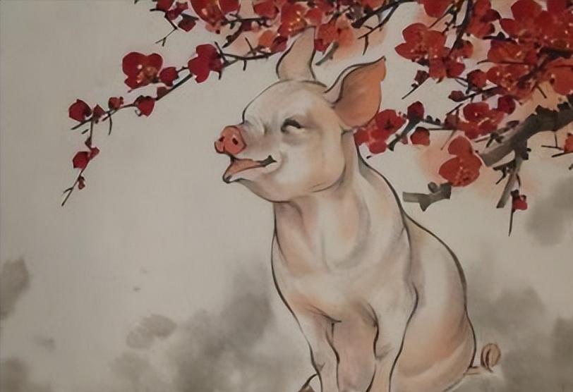 2019年出生的人到底属猪还是属狗？