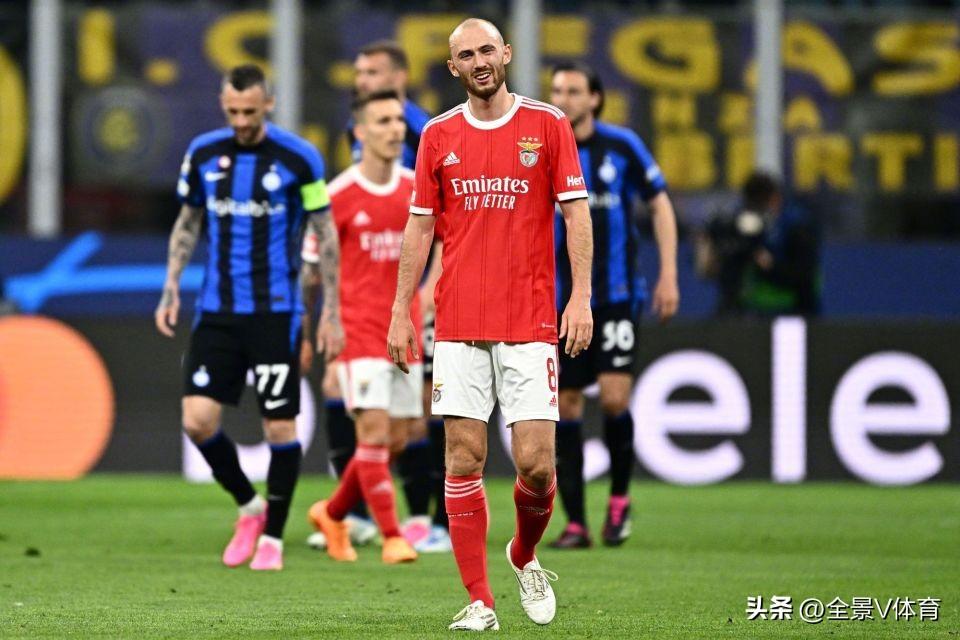 八哥鸟的食物有哪些？饲养八哥的注意事项