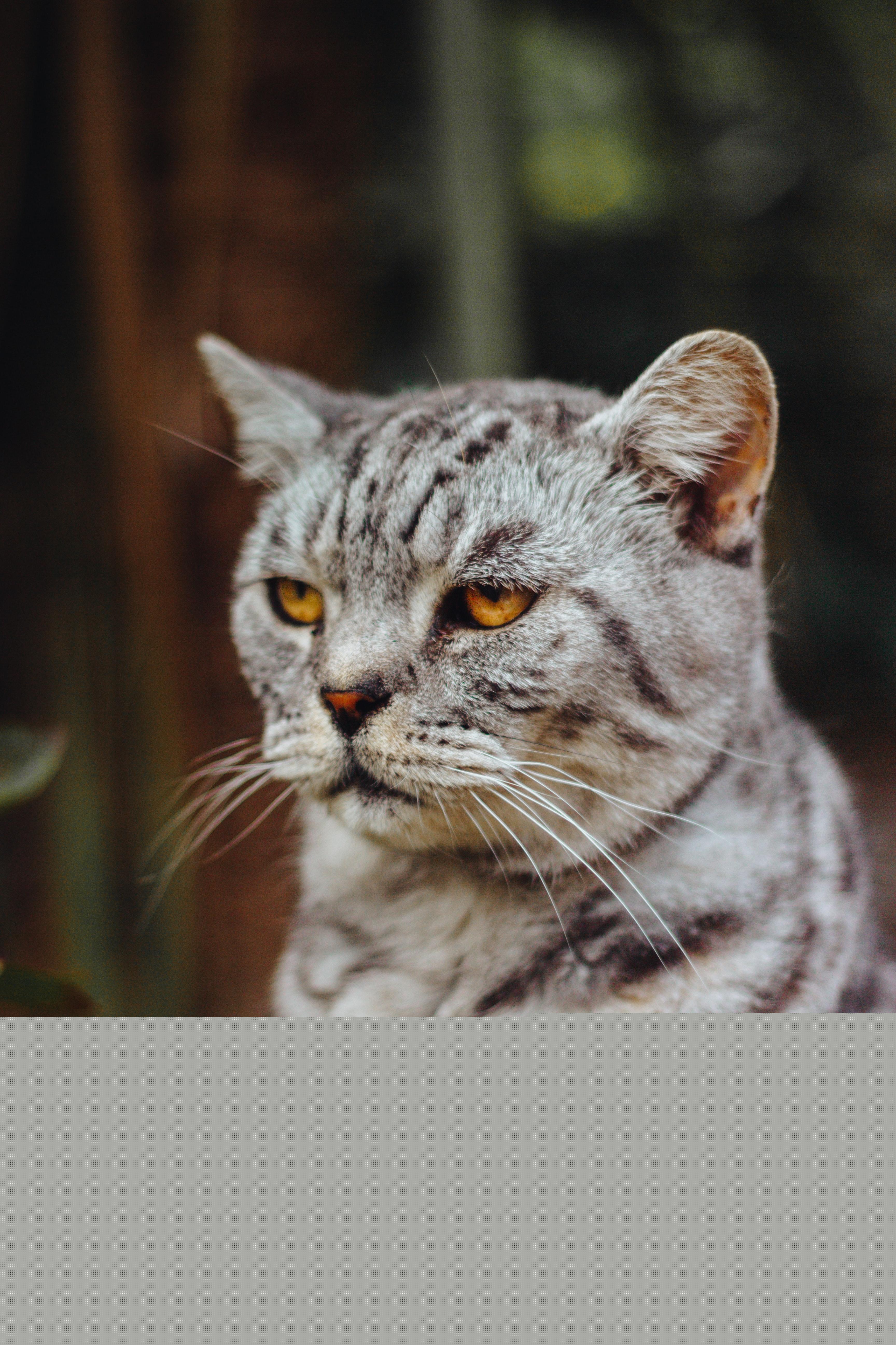 京东券真的能让你省下上千元吗？
