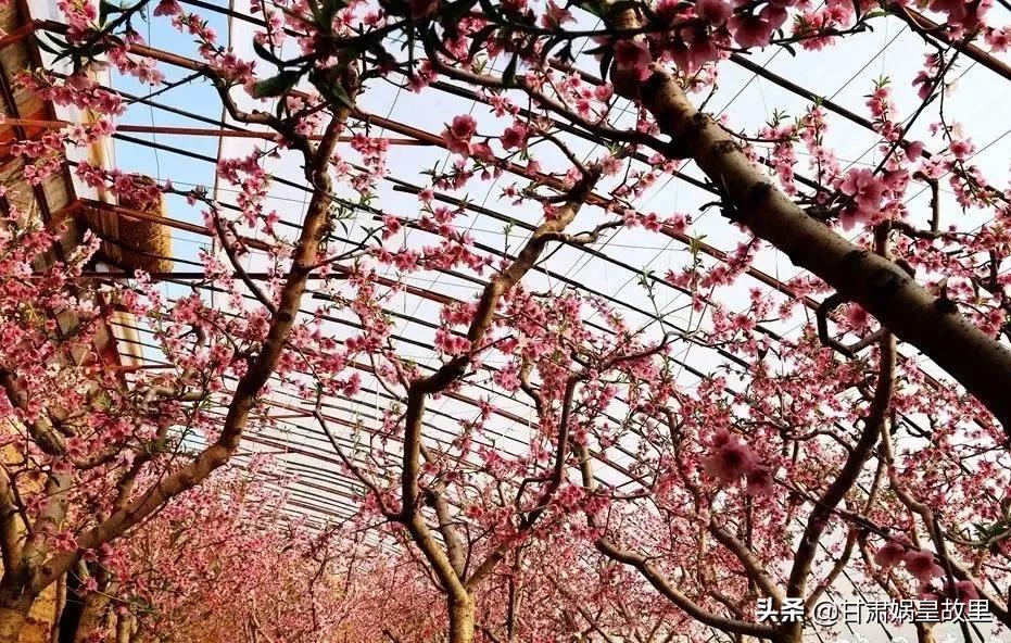 货到付款网购真的靠谱吗？新手必看的避坑指南