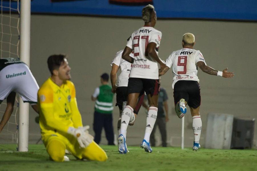 新手养兔必看：兔子真的需要吃补药吗？