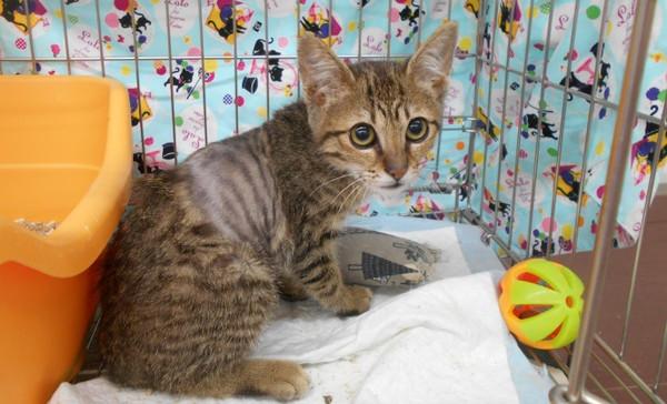 淘宝搬家真的能省下一半费用吗？