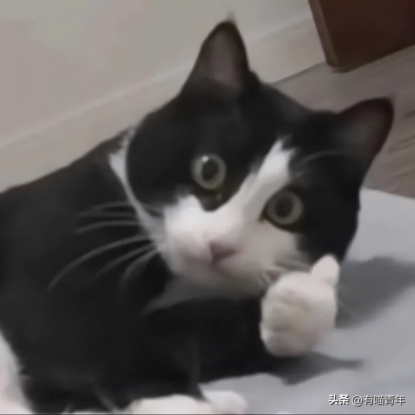 为什么古人用几根草棍就能预测未来？