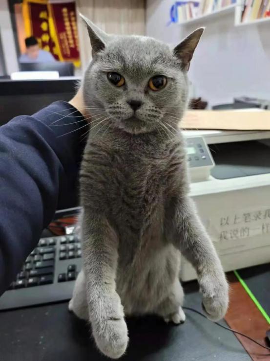 精准生辰八字算命解析：如何通过八字预测人生运势