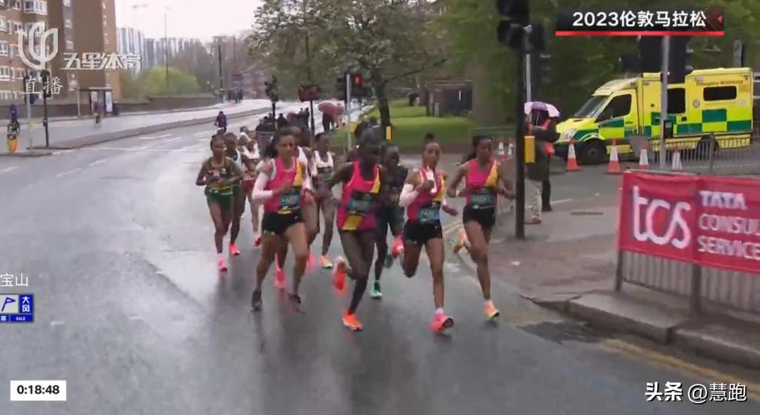 梦见被猫抓伤是潜意识在报警吗？