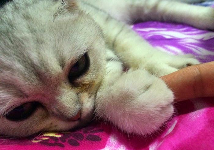 2024年9月黄道吉日乔迁指南：选个好日子，搬进新家更顺利