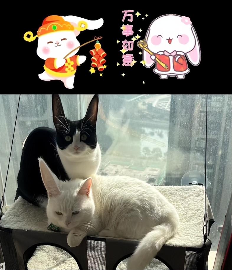 常氏男孩取名指南：精选有意义且好听的名字推荐