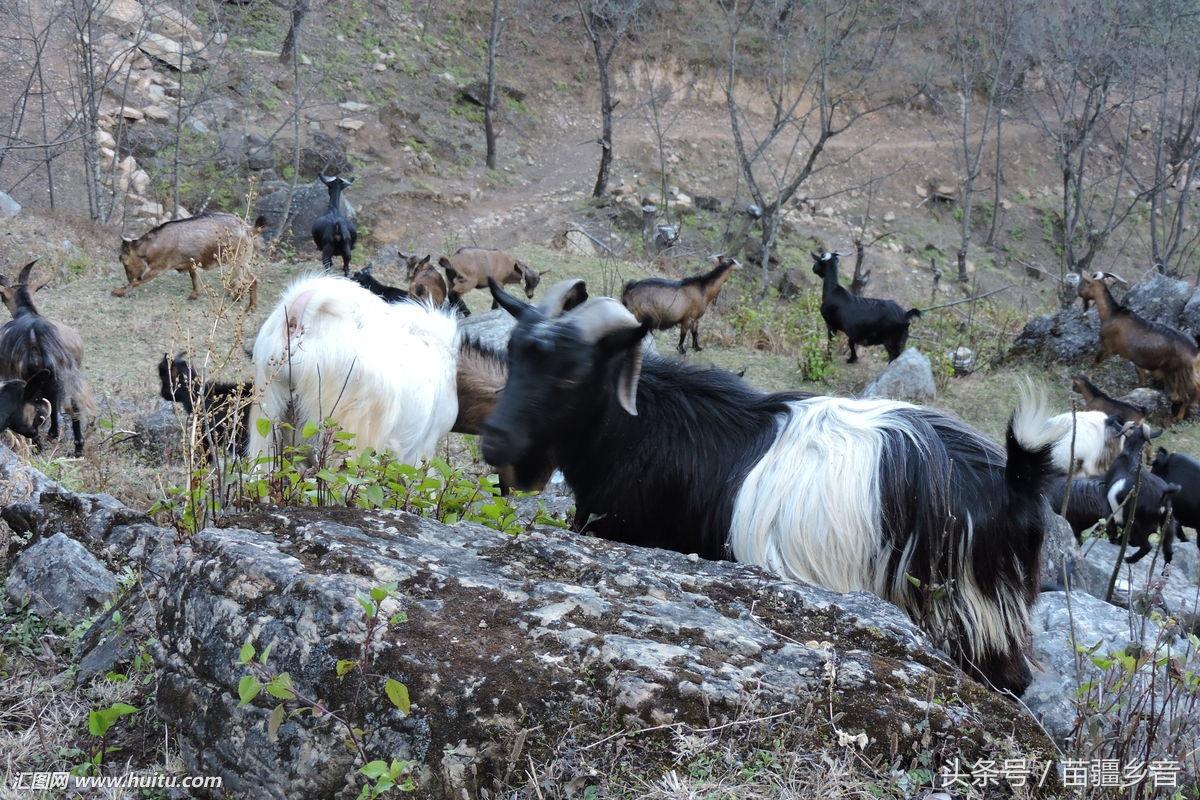 关注别人真能赚到钱吗？