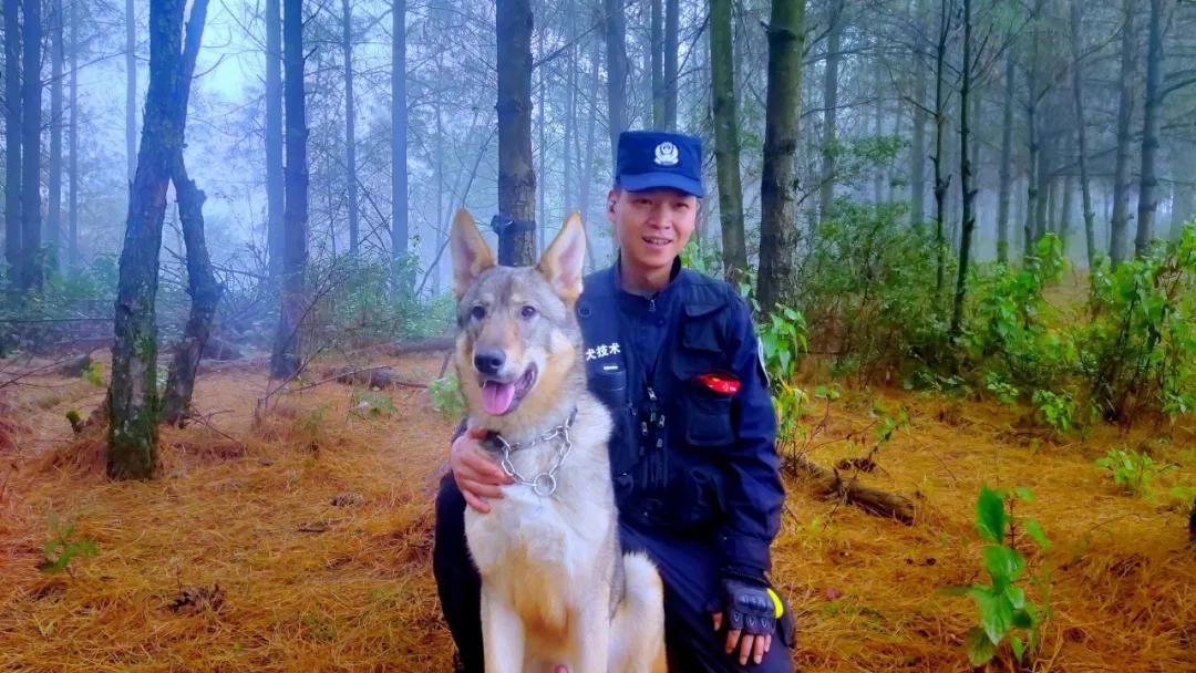 不容错过的缉毒犬:探索其历史与工作全介绍 不容错过的缉毒犬:探索其历史与工作全介绍