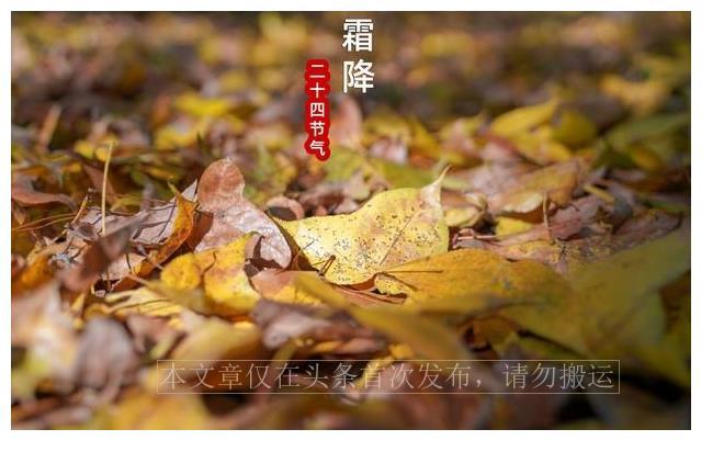 九月初十到底藏着什么秘密？