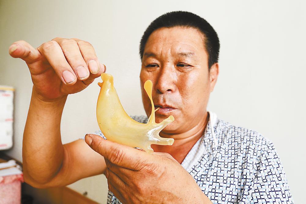 新手玩小兔子哐哐总被踢出局？