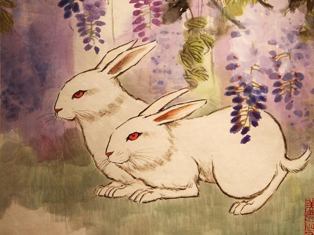 属兔人2022年真的能咸鱼翻身吗？