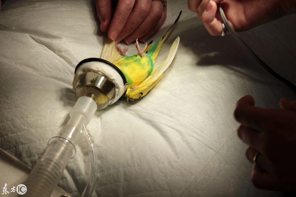 淘宝店铺排名上不去？新手如何快速冲到首页？