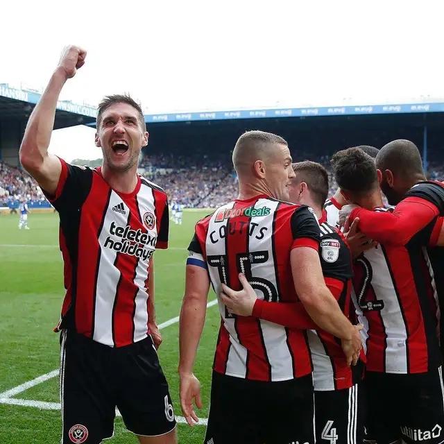 猫咪上吐下泻还发烧？小心要命的猫瘟！