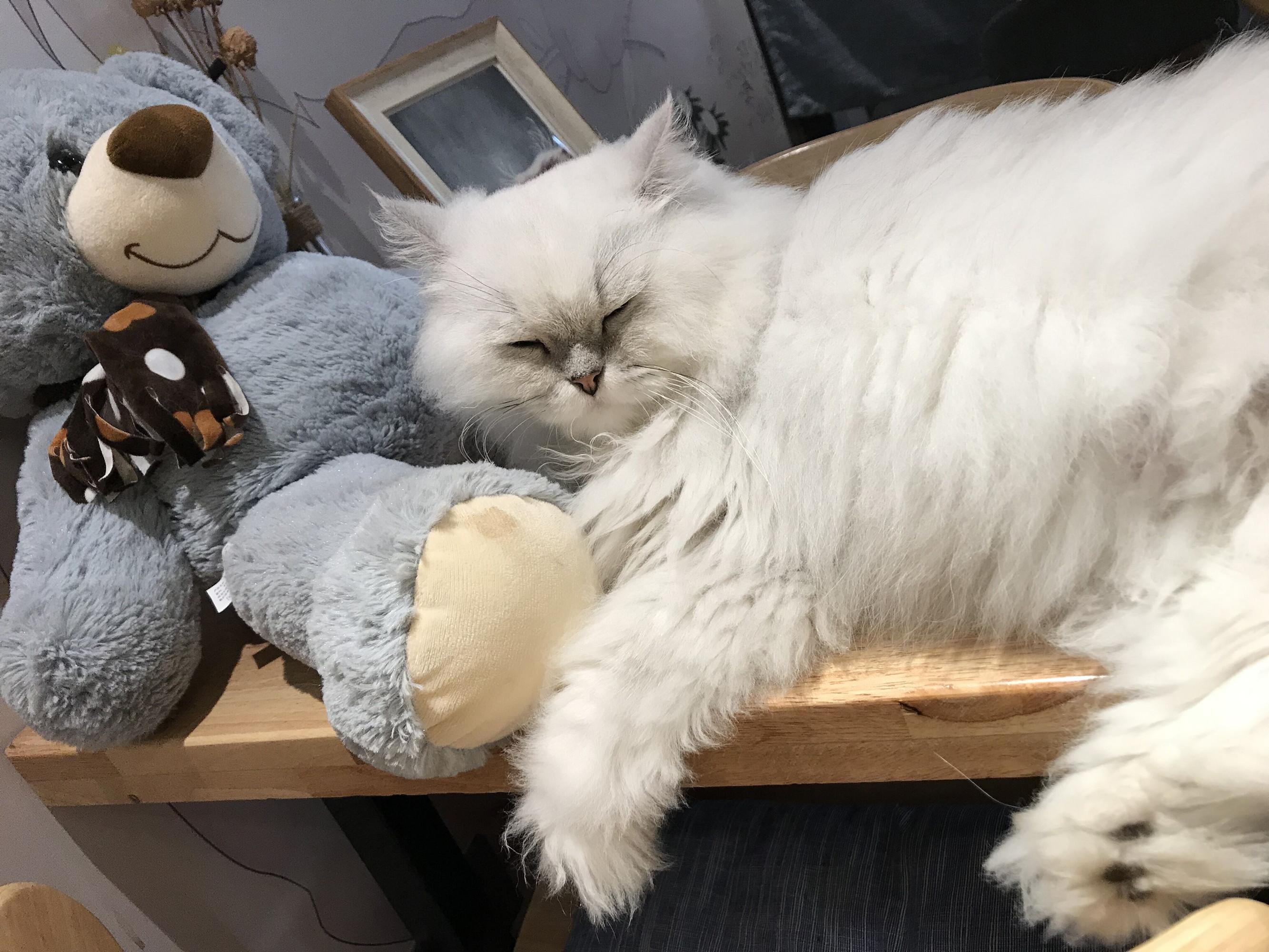 零库存卖女鞋月入过万？淘宝代销真有这么神？