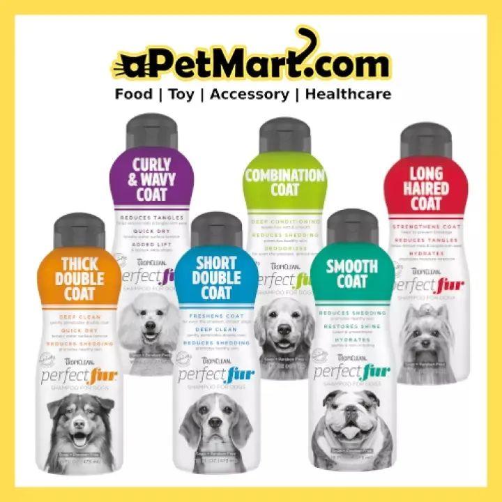 养雪貂真的比猫狗更省心吗？