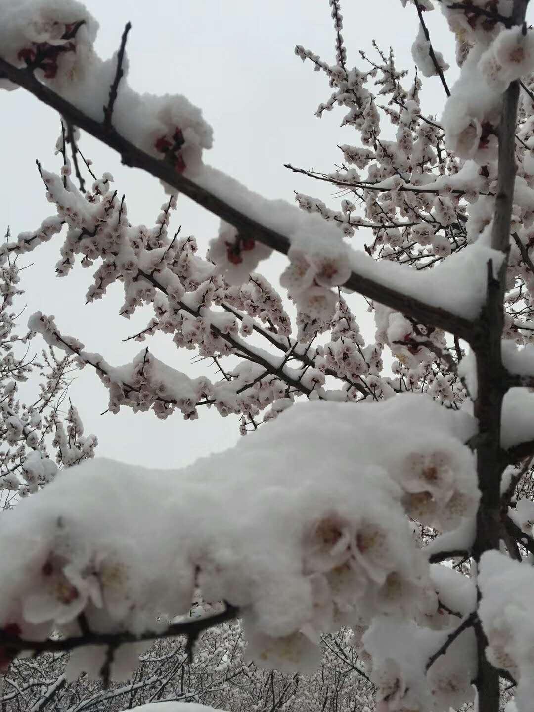 四月三十日到底藏着什么秘密？