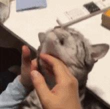 1985年9月21日出生的人命运如何？详细解析命理特点