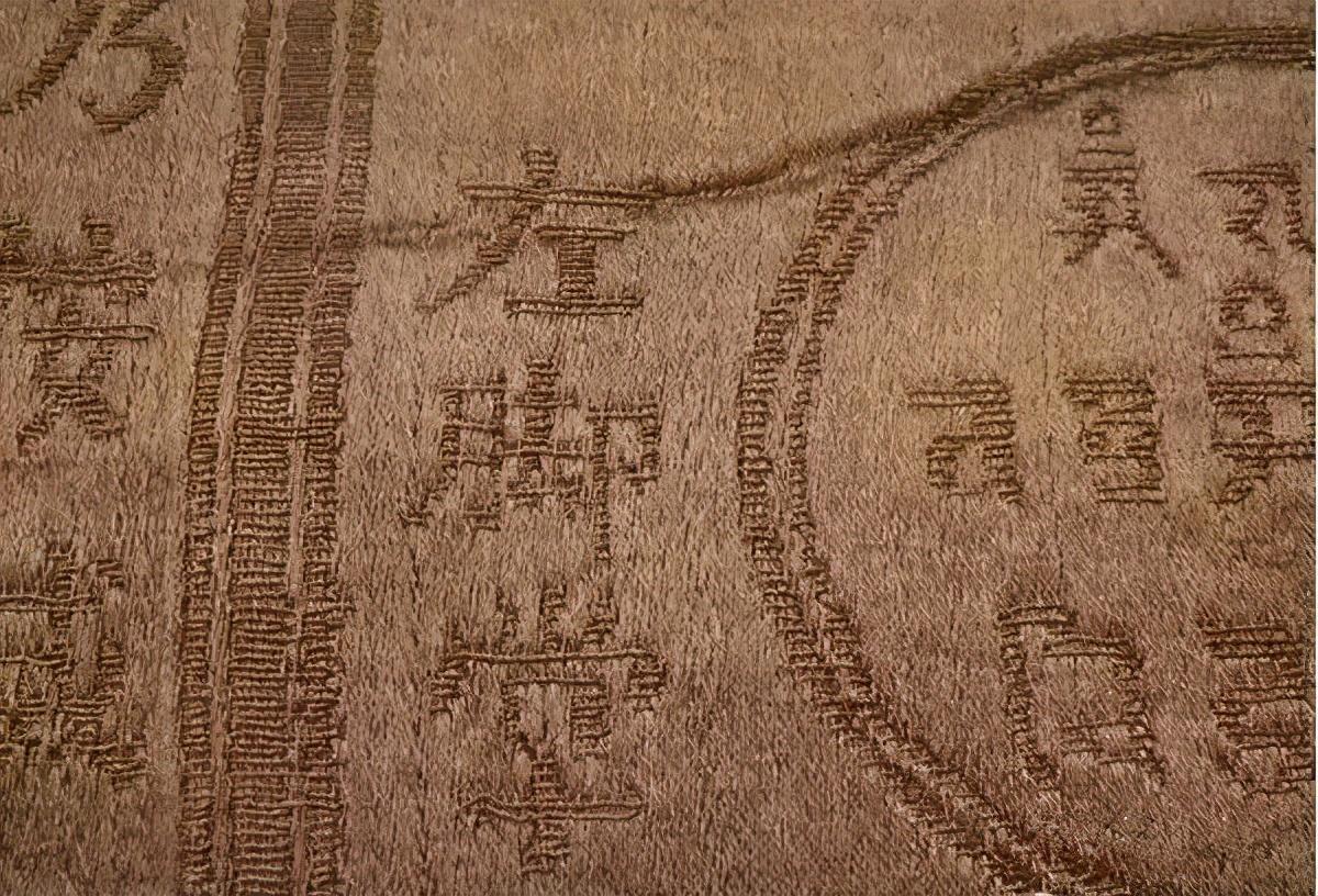 淘宝拍卖真的能捡漏吗？