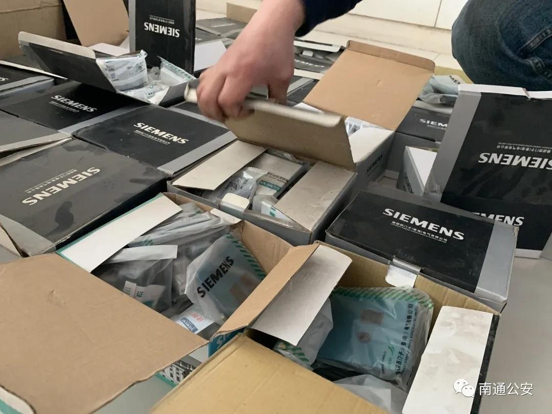 黑领情侣鹦鹉真的难养吗？