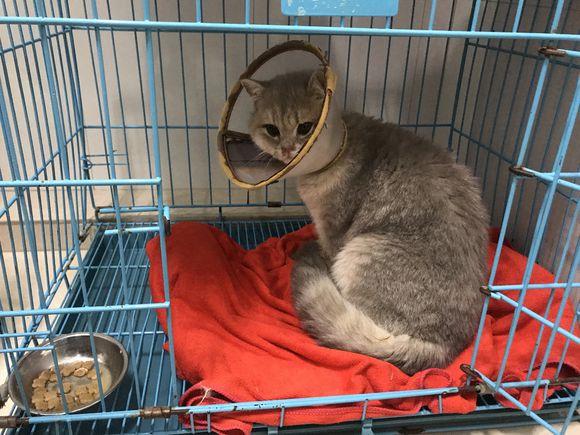 梦见生孩子究竟预示着什么？周公解梦全解析