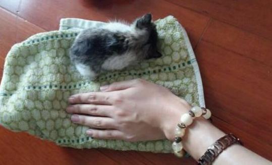 2012年12月8日究竟发生了什么大事？