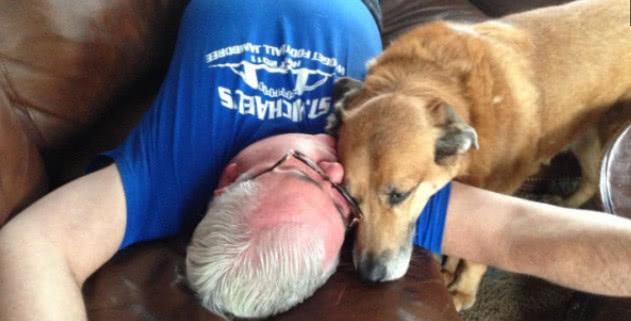 一只狗的大学时光该怎么玩？