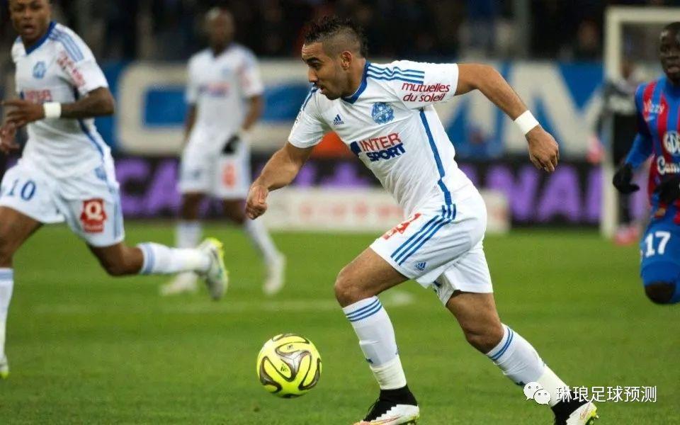 绿毛龟真的适合新手饲养吗？